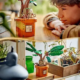 LEGO Harry Potter Zaubertrankpflanze: Alraune 76433