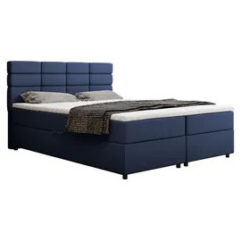 panda möbel Boxspringbett 160 x 200 cm Dunkelblau
