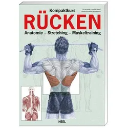Kompaktkurs Rücken - Anatomie, Muskeltraining, Stretching