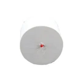 Blanc HYGIENIC Toilettenpapier Blanc Long Life 2&3-lagig 100% Zellstoff 1 x 100 St.