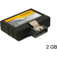Delock Sata Flash Module Vertikal 2GB (54368)