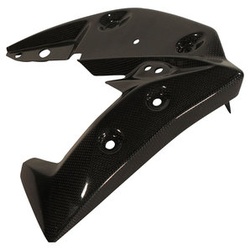 TRIUMPH Carbonteile Triumph Speed Triple 11-15