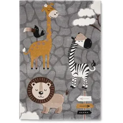 Kinderteppich Zoo in Graun ca. 120x170cm