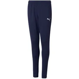 Puma Teamrise Poly Jogginghose Peacoat/Puma White 152