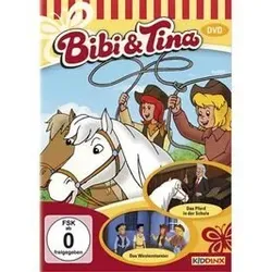 BUSCH 130361 DVD Bibi&Tina Pferd i.Schule