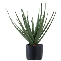 VCM Aloe Vera Kunstbaum Höhe 51cm grün.