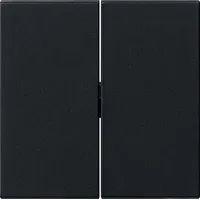 Gira Wippe 2fach Tastschalter 0915005