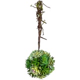 Creativ green Kunstpflanze »Sukkulentenkugel mit Hänger«, grün