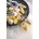 LED-Lichterkette Batterie Transparent