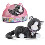 BABY BORN Mein Kätzchen Cookie mit Box