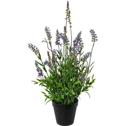 Kunstpflanze Lavendel II Grün/Schwarz