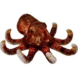 Coppenrath Verlag DIE SPIEGELBURG 22572 Oktopus Nature Zoom Wild