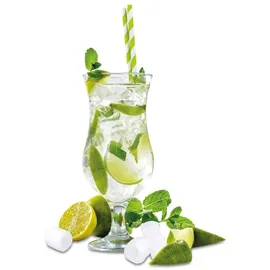 CASO Design Caso IceChef Pro