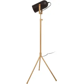 Kayoom Elysium 300 Schwarz/Gold