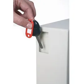 Phoenix Cygnus Key KS0033E