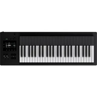 Expressive E Osmose, Synthesizer, Schwarz