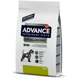 Affinity Hypoallergenic 2,5 kg