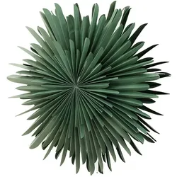 Ebuy24 Sälen Weihnachtsstern mit Licht Papier Ø80 cm Pendelleuchte grün.