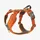 DOG Copenhagen Comfort Walk Pro Hundegeschirr, Orange Sun, S