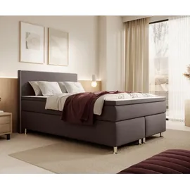 Inter Boxspringbett Gent 180x200cm Braun Taschenfederkern