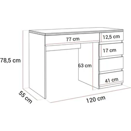 Lukmebel Schreibtisch AURORA SILVER mit Schubladen - Silber/Weiß