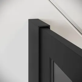 Badplaats Essos Walk-In-Dusche 80 x 200 cm schwarz getönt