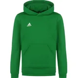 adidas Entrada 22 Hoody Kids Grün,