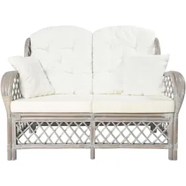 vidaXL 2-Sitzer-Sofa Grau Rattan