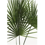 KOMAR Wandbild Palmtree Leaves 50 cm x 70 cm