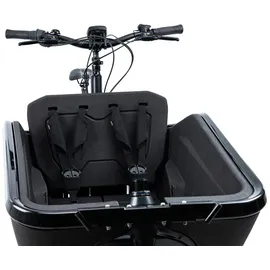 Cube Sicherheitsgurt CARGO black