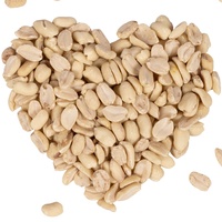 Lyra Pet® | 25 kg Erdnusskerne Splits | HK Argentinien | Geschälte, Halbe Erdnüsse | Gourmetsnack für Wildvögel | Vogel Streufutter | Für alle Körnerfresser | Proteinreiche Energiequelle für Vögel