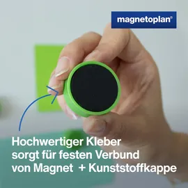 Magnetoplan Ergo-Magnete, large, Maigrün, Pack a 10 Stück