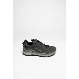 Lowa Maddox Pro GTX Low Herren Grey / Grey 45