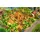 Adventure Park (PC)