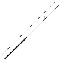 WFT Coastal Jigger 2,75m 40-160g