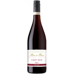 Pinot Noir Pfalz 2022 - Peter & Peter