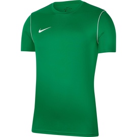 Nike Park 20 T-shirt, Pine Green/White/White, L EU