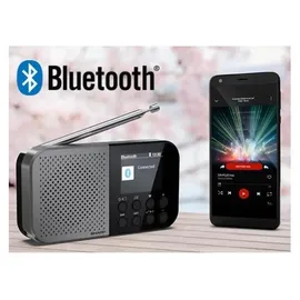 Sharp DR-P520 grau