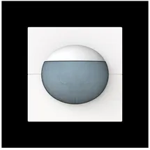 Busch-Jaeger Busch-Wächter 180 flex 62764-44M-WL