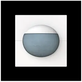 Busch-Jaeger Busch-Wächter 180 flex 62764-44M-WL