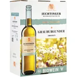 Jechtinger Weißwein Haus und Hof Grauburgunder QW trocken - Bag in Box 3,0l