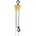 Columbus McKinnon Industrial 10m 2000-1