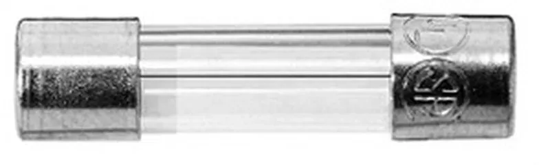 Schurter Sicherungseinsatz 0034.3125