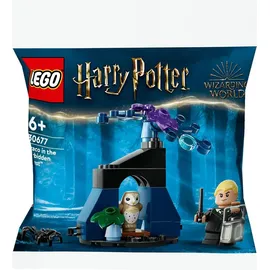 LEGO Harry Potter Draco im Verbotenen Wald 30677