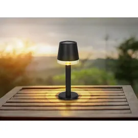 meine wunschleuchte 2er Set LED Outdoor Solarlampen Tischleuchten Solarbeleuchtung Garten, H 21,5cm