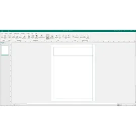 Microsoft Office 2021 Professional