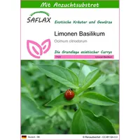 SAFLAX - Kräuter - Limonen Basilikum - 200 Samen
