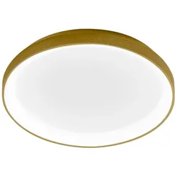 Krizia - Dimmbare LED-Deckenleuchte 38W 3000K - Warmes Licht 3300lm, Opaldiffusor, Goldrahmen, IP20, T.27 cm, modernes Design