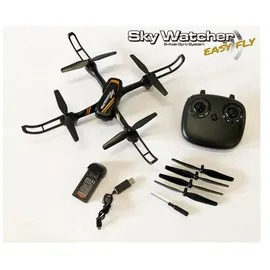 DF-Models SkyWatcher Easy Fly RTF