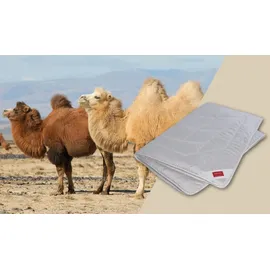 Hefel Pure Camel Ganzjahresdecke light (Größe: 155x200 cm
